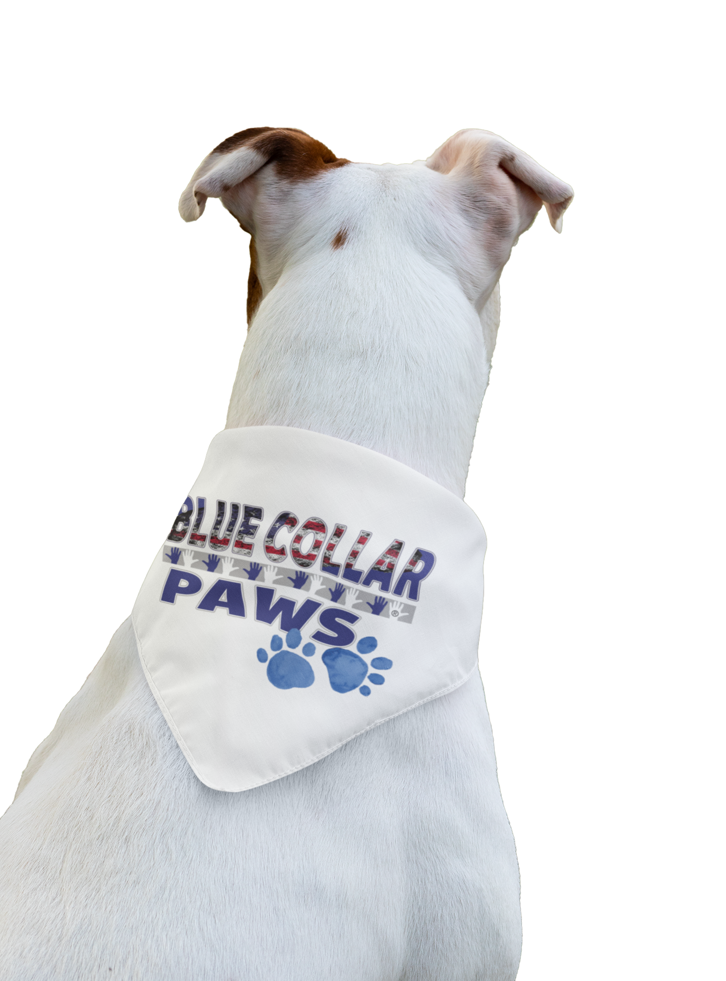 Blue Collar Paws for Stylish Pets Clip-on Bandana